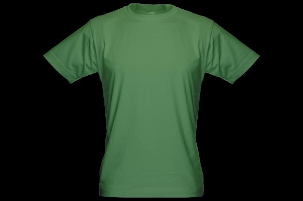 Pánské bambusové tričko (zelené/S)